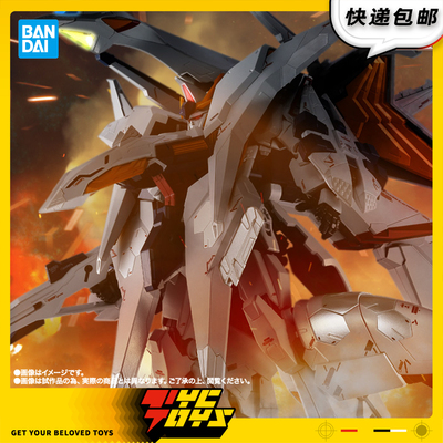 【TYCTOYS】定金预售 万代魂限R魂RX-104FF佩涅罗佩大白鹅KA版