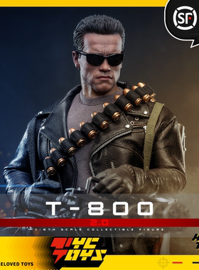 【TYCTOYS】现货 HOTTOYS HT终结者2审判日T800机器人MMS795人偶