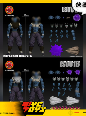 【TYCTOYS】现货 LS工作室BREAKOUT KING脱狱之王1/12可动人偶