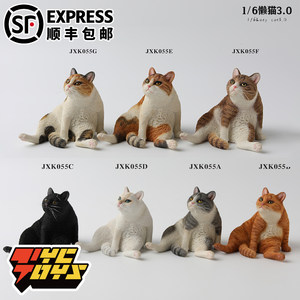 tyctoys现货jxk1/6懒猫可爱手办