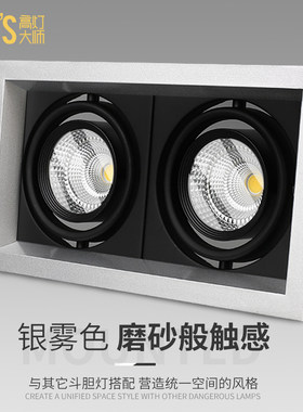 双头银色斗胆灯射灯两头嵌入式筒灯2头格栅灯led豆胆后现代港式台