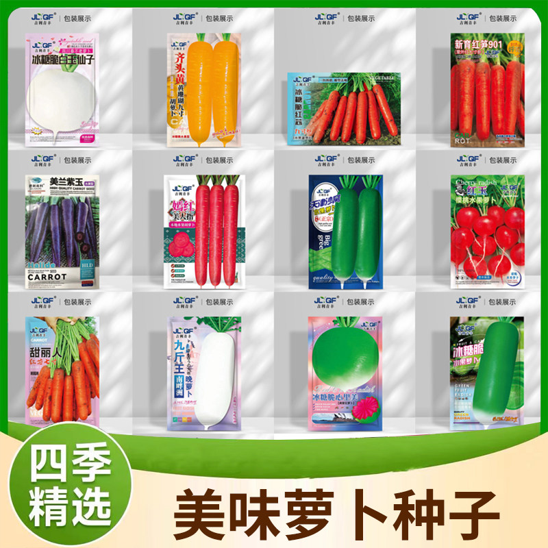 青丰四季蔬菜种子胡萝卜种子萝卜车厘子种子组合装甜萝卜发芽率高图片