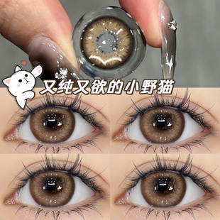 小野猫棕灰美瞳半年抛棕色欧美混血大小直径女隐形眼镜正品官网TN