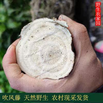 野生无硫吹风藤中药材现采