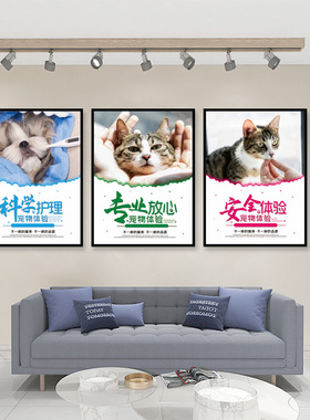 宠物店墙贴猫咪狗狗宠物壁画装饰画海报背景墙挂画贴画墙纸3D立体