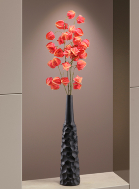 极简黑色花瓶高级感摆件细长高客厅桌面插花玄关电视柜装饰摆设品