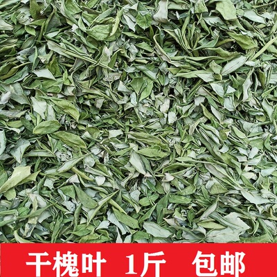 晒干国槐叶500g野生槐叶蒸后晾干国槐树叶洋槐1斤晒干槐树枝切片