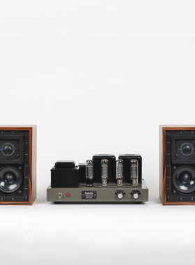 [超值套餐]专用版DP34-EL34推挽胆机+BestVox本色LS3/5A 15欧音箱