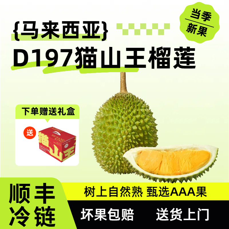 D197猫山王榴莲当季新果