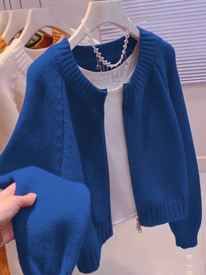 蓝色针织开衫女2024秋冬新款外搭宽松休闲慵懒风毛衣外套拉链上衣