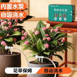 多时段懒人智能浇花滴灌神器植物盆栽家用定时虹吸灌溉洒水控制器