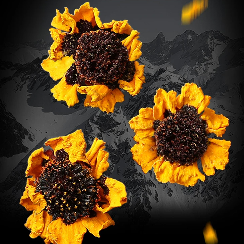 昆仑雪菊新疆天山冰山野外生长雪菊花茶和田克里阳