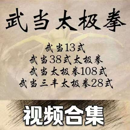 武当太极拳13式28式38式武当三丰108式合集视频教程素材自学课程