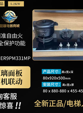 西门子 ER9EPA33MP/ER9PM331MP三眼燃气灶精控大火力家用嵌入猛火