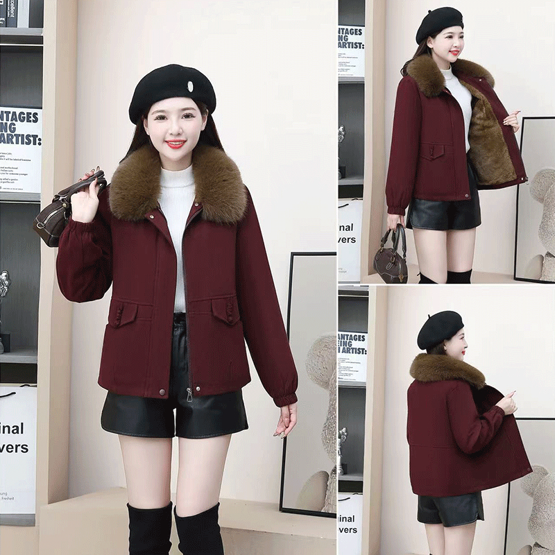 冬季新款韩版时尚连帽棉服上衣女