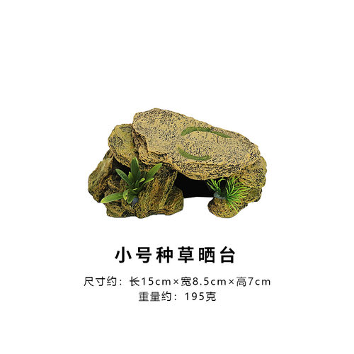 爬虫鱼缸造景水陆两蜥通