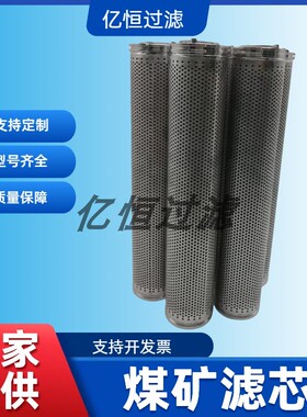 电厂煤矿反冲洗过滤站滤芯TMGLZ天玛回液网筛反冲洗滤芯GLZ-1000