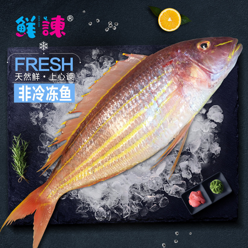 【鲜谏】海钓大金线鱼(6两上/条)红杉鱼 金丝鱼 冰鲜非冷冻鱼