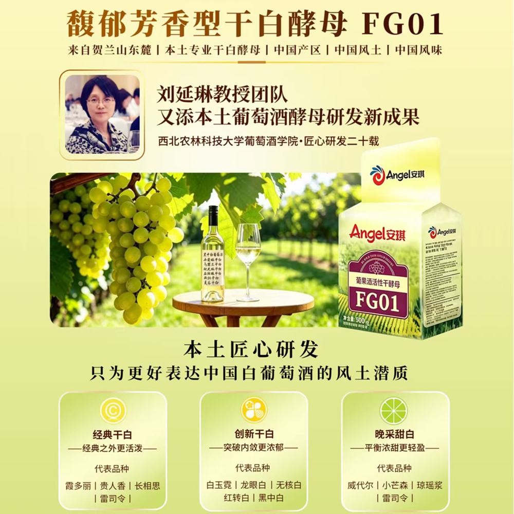 安琪葡萄酒果酒活性干酵母FG01