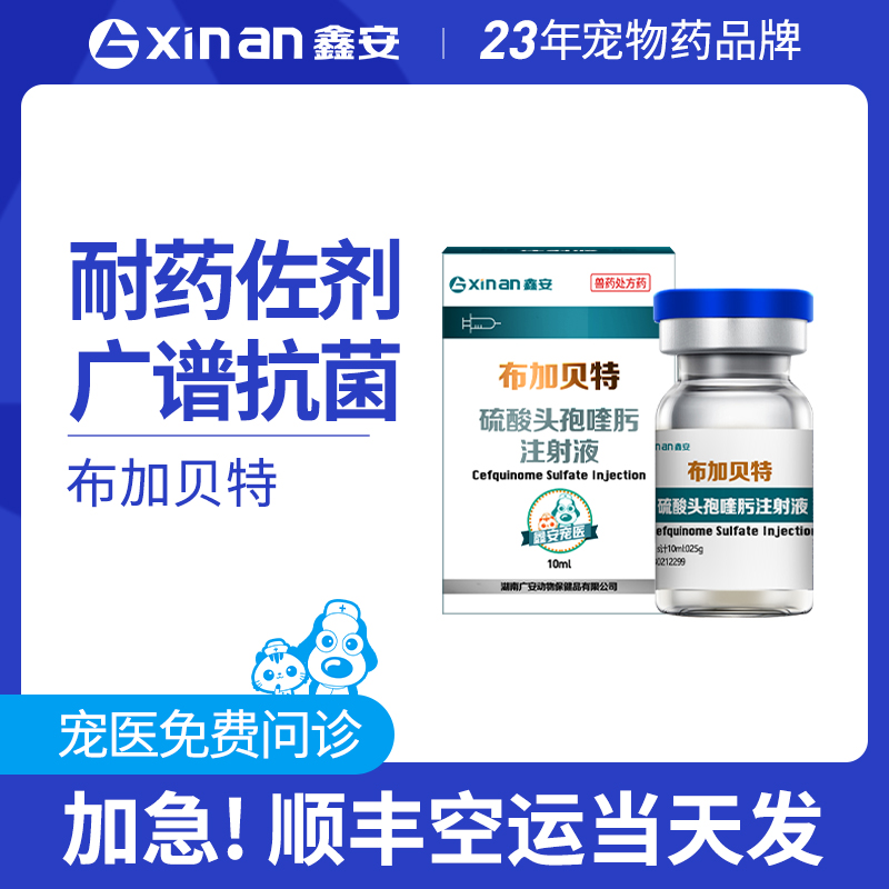 鑫安硫酸头孢喹肟注射液布加贝特