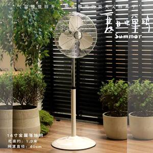 德国简约白金属落地扇立式家用摇头机械式复古电风扇文艺日系风格