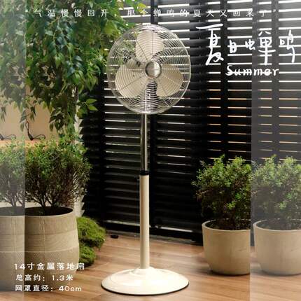 德国简约白金属落地扇立式家用摇头机械式复古电风扇文艺日系风格