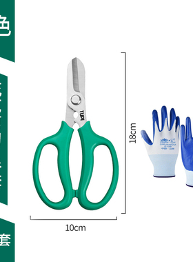 TUPI-SK5花剪花店枝修枝剪省力家用园林专用工具剪树枝专用剪刀