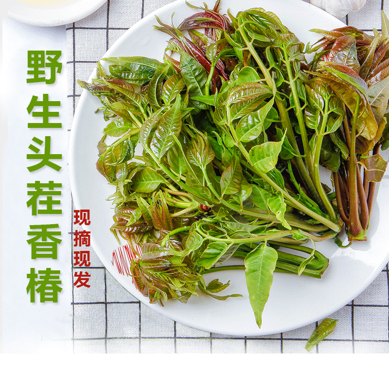 头茬新鲜香椿芽特产红油