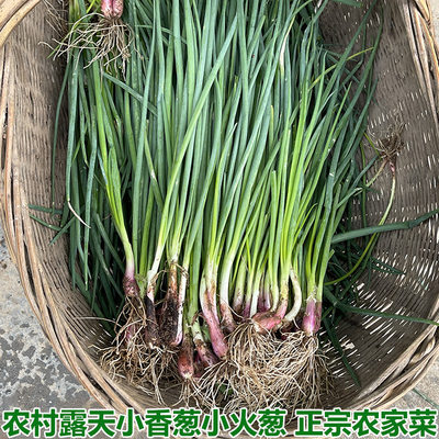 农家自种新鲜小葱小分葱小香葱小葱白露葱香葱蘸酱蔬菜3斤包邮