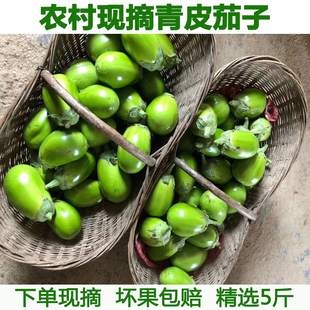 新鲜大绿茄子湖北特产青茄子新鲜蔬菜农家自种牛奶茄子五斤包邮