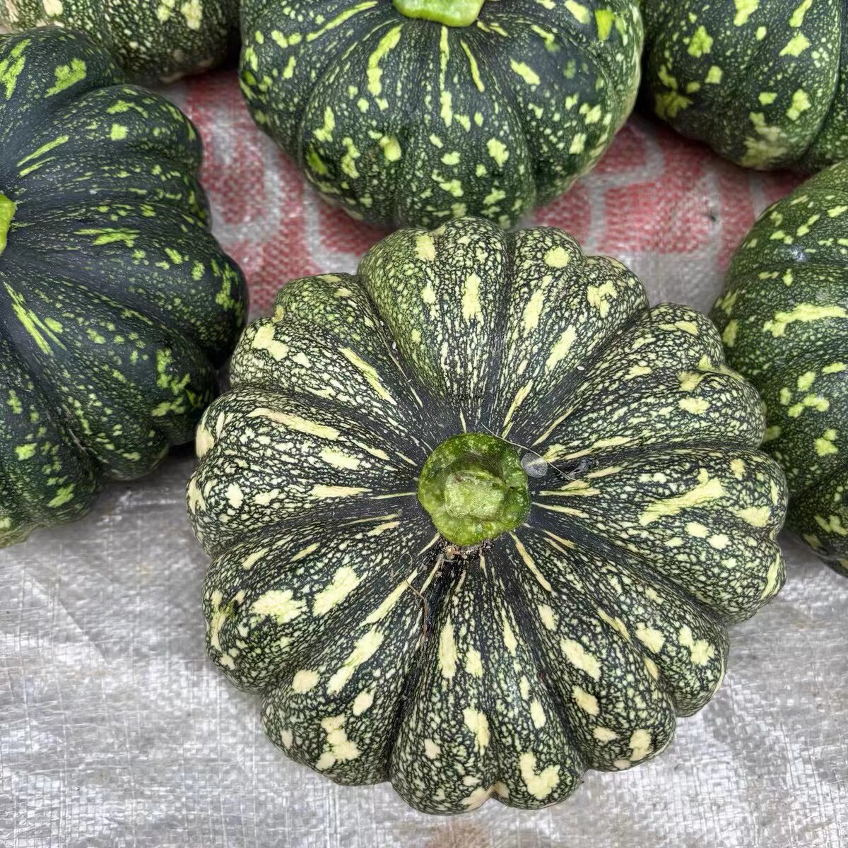 新鲜南瓜贝贝南瓜当季时令农家蔬菜露天本地老品种粉面青皮圆南瓜