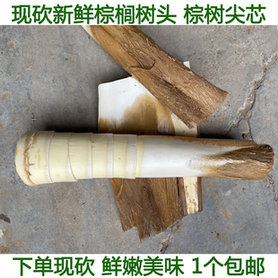 现砍新鲜甜棕树心棕树尖棕榈芯棕树头棕榈心棕榈树树心1个包邮
