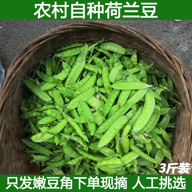 新鲜嫩荷兰豆农家雪豌豆荷仁豆剪豆刀刀豆青豆时令蔬菜辅食包邮