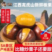 板栗生新鲜花香水果板栗江西龙虎山油板栗包香包甜栗中之皇