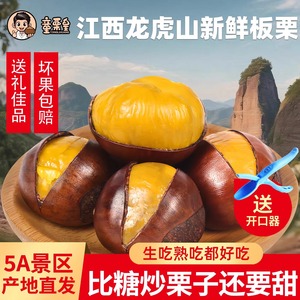 栗中之皇高品质新鲜板栗包香包甜