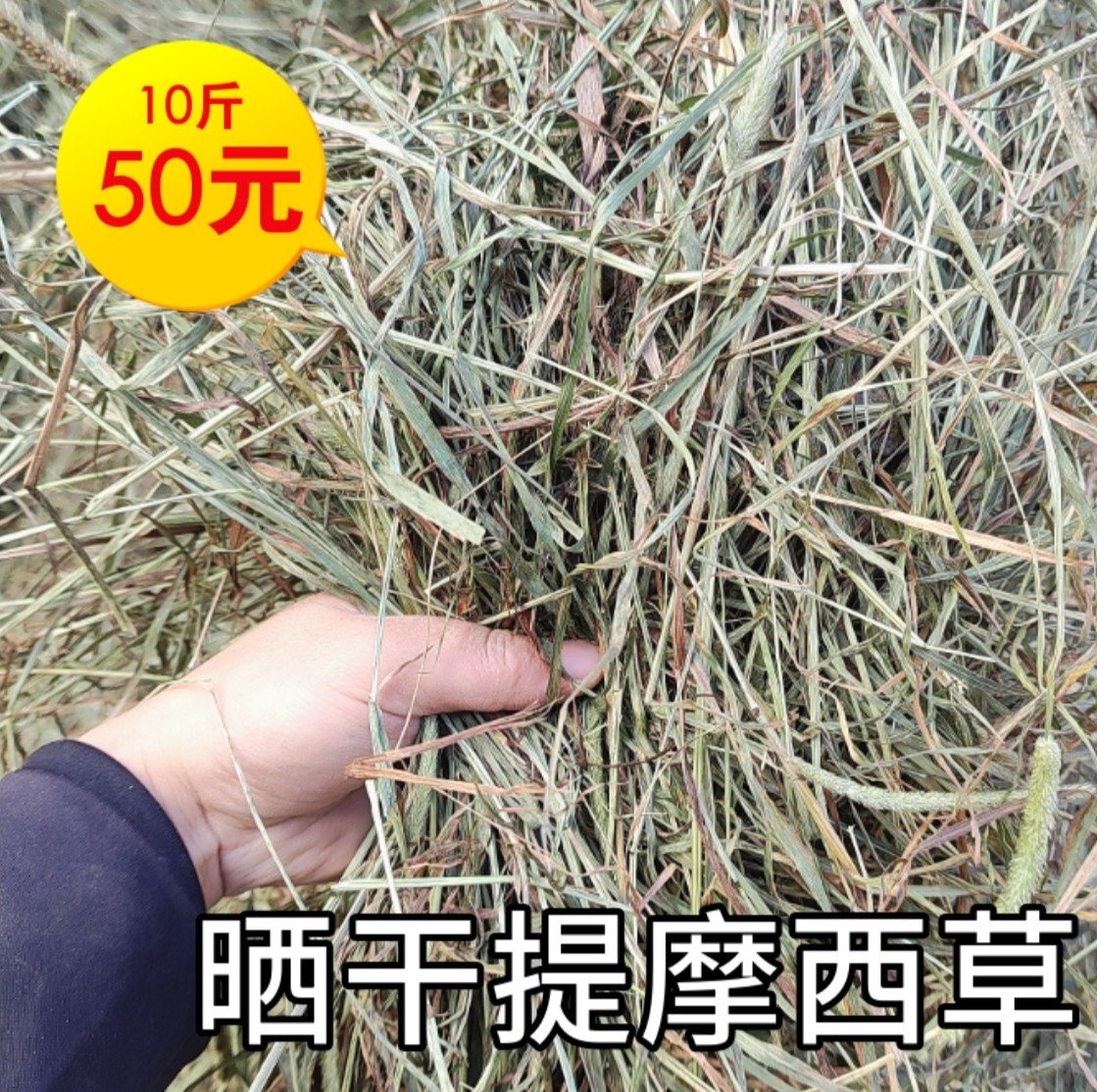 晒干北提摩西草兔子干草龙猫草荷兰猪主食磨牙提草兔兔干草,宠物/宠物食品及用品,兔兔干草,淘宝优惠券,粉丝福利购,淘宝优惠卷