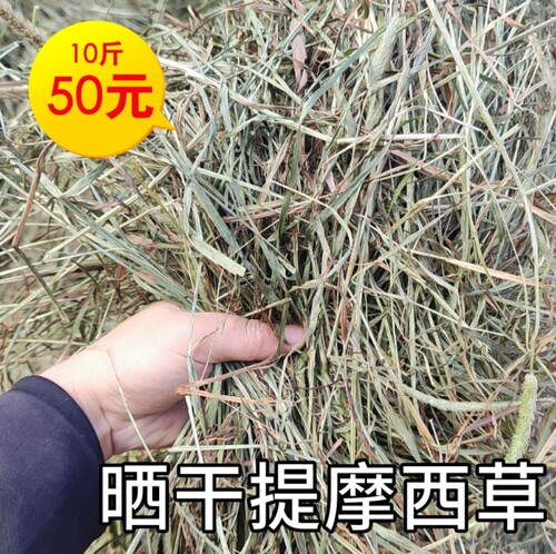 晒干北提摩西草兔子干草龙猫草荷兰猪主食磨牙提草兔兔干草
