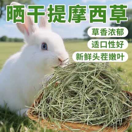 晒干北提摩西草兔子干草龙猫草荷兰猪主食磨牙提草兔兔干草