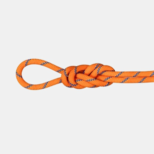 Dry攀岩攀冰干绳子登山2010 04200 Sender MAMMUT猛犸象9.0Alpine