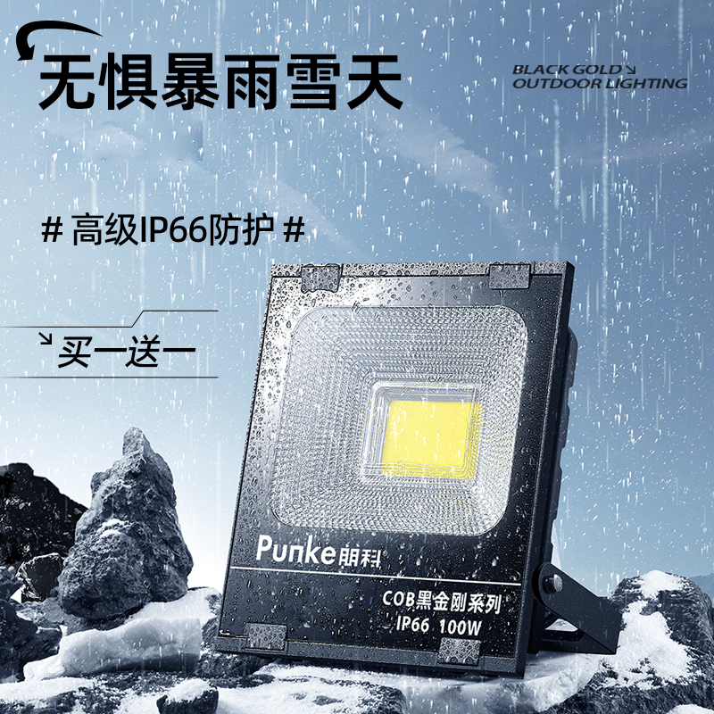 品牌买一送一促销中户外投光灯
