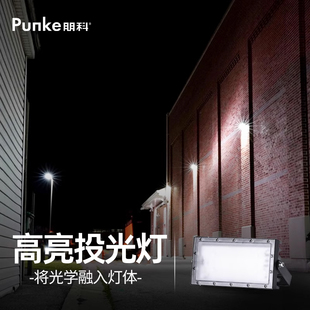 led投光射灯户外防水强光探照灯庭院正白光车间厂房超亮照明灯