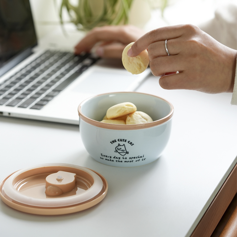保鲜食品收纳碗高温陶瓷碗