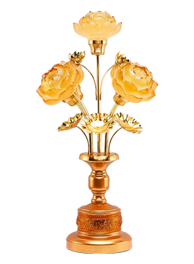 骏澜斋琉璃佛前家用插电led供灯