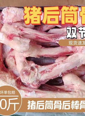 新鲜冷冻双节猪后筒骨整箱商用两节猪棒骨少肉猪腿骨熬汤生猪骨头