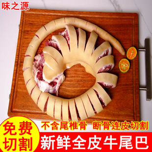 5-6斤整条新鲜带皮牛尾巴黄牛尾整根原切断骨连皮红烧牛尾巴食材