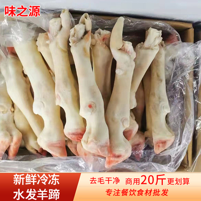 新鲜冷冻羊蹄子商用水发整只爪子