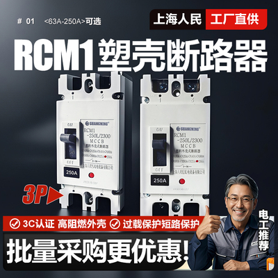 上海人民单相塑壳断路器40A 50A 63A 100A 125A家用空气开关220V