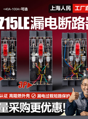 上海人民DZ15LE漏电开关三相闸开关100A漏电开关单相2P3P4P断路器