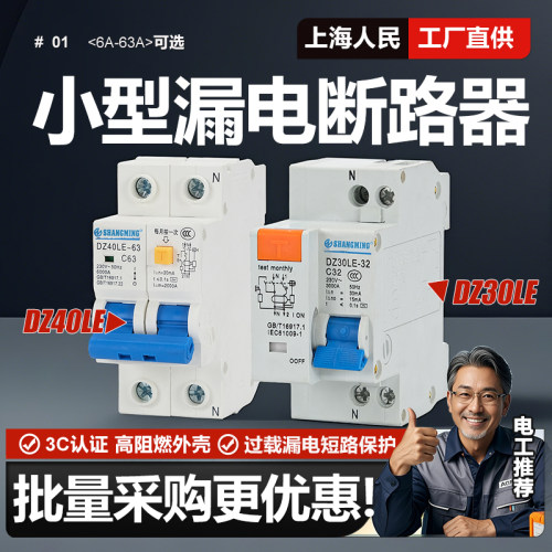 DZ30LE小型漏电断路器DZ40LE
