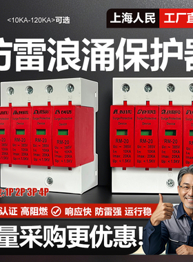上海人民浪涌防雷保护器避雷器220V2P电涌开关光伏4P40kA60ka380V